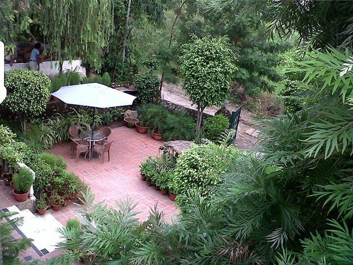 Siswan Jungle Lodge Baddi Exterior foto