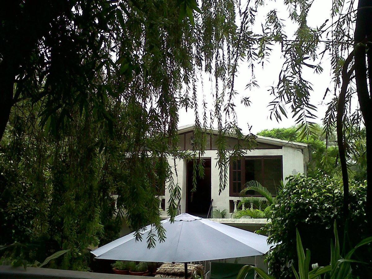 Siswan Jungle Lodge Baddi Exterior foto